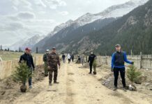 «Кумтор» поддержал национальную кампанию «Жашыл мурас» на Иссык-Куле