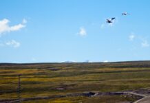 В ЗАО «Кумтор Голд Компани» прокомментировали вопрос восстановления и рекультивации рудника