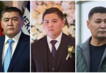 Камчыбек Ташиевдин уулунун компаниясы Жалал-Абадда бир нече тендерди утуп алган