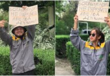 Мэрия Бишкека оригинальным способом предупредила водителей об опасности ставить авто под деревьями