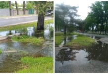 Патрульная милиция оштрафовала «Бишкекзеленхоз» на 23 тыс. сомов