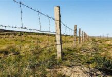 Кыргызстан менен Өзбекстандын чек арасындагы куралдуу чыр-чатакта эки адам каза болду