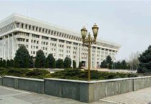 Дастан Бекешев Ак үйдүн күзөтчүлөрүнө сын айтты