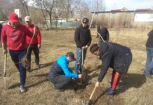 Нарын облустук ички иштер башкармалыгы тарабынан ишембилик өткөрүлүп, жаңы көчөттөр отургузулду