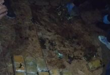 Казакстан аркылуу Россияга баңгизат алып бара жаткан Лейлек районунун жашоочусу кармалды