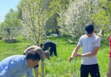 ИИМдин Академиясы «Жашыл Мурас» улуттук өнөктүгүнө активдүү катышууда