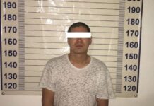 Сокулукта каракчылыкка шектелген жаран кармалды