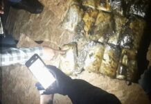 На КПП «Кен-Булун» в грузовике нашли тайник с крупной партией наркотиков. ФОТО