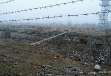 Конфликт на границе. Кыргызстан и Таджикистан начали отвод сил и средств от места инцидента