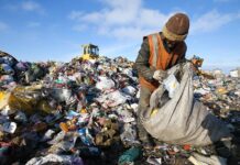 Ысык-Көл облусунда желимди кайра иштетүүчү бир нече ишкана курулат