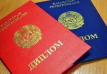 Проверка дипломов и двойного гражданства. 40 госслужащих уволились, два депутата сдали мандаты