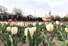 Бишкек шаарынын абасы тазаланды