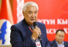 Темирлан Сманбеков Ысык-Көл облусундагы Касымалы Жантөшөв атындагы драма театрынын директору болуп дайындалды