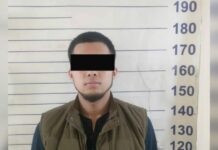 Өспүрүмдүн «iphone11» смартфонун алдап алып, качып кеткен жаран кармалды