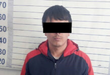 Ноокенде денеге оор залал келтирген жаран камакка алынды