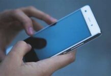 Телефон уурдоого жана баңгизат таратууга шектүү жаран кармалды