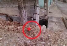 Милиция задержала двух женщин, которые продавали синтетические наркотики. ФОТО