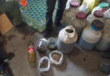 У жителя Каракола в доме обнаружили 25 кг конопли. ФОТО