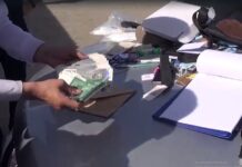 Задержан глава Джалал-Абадского управления Госветинспекции