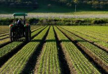 Международный фонд сельхозразвития выделит Кыргызстану $31 млн на развитие фермерства