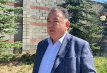 Туйгунаалы Абдраимов эки айга камалды