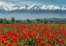 Кыргызстан вошел в тройку стран, где россияне планируют отдохнуть летом