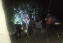 Аралчада күрүч эгип жүргөн адам эки суткадан кийин куткарылды, – видео