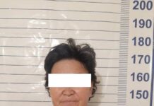 Сокулукта каржы пирамидасын түзүүгө шектелген аял кармалды