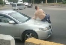 Капотунда киши отурганына карабай унаасын айдап кеткен айдоочу айыпка жыгылды