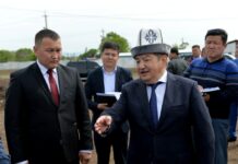 Глава кабмина нагрянул на скотный рынок, который ранее потребовал заасфальтировать