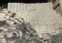 Дефицит сахара в КР. Бакыт Торобаев посетил завод «Каинды-Кант»