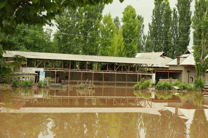 66 1 В Сузакском районе затопило больше 600 домов, объявлен режим ЧС