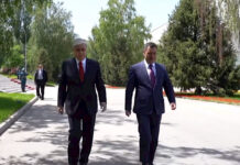 Садыр Жапаров жана Касым-Жомарт Токаев бирге сейилдешти