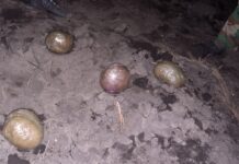 В Кыргызстане ликвидирован устойчивый канал поставки наркотиков в тюрьмы