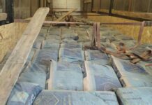 Минералдык жер семирткичтердин контрабандалык жүктөрү токтотулду