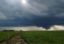 Будьте осторожны! В Бишкеке и Чуйской области ожидается гроза и сильный ветер