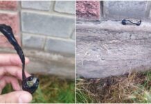 Журналисту Temirov Live подбросили к дому наркотики