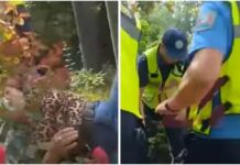 Возле ГКНБ митинг. Одну протестующую силовики за руки и ноги оттащили от ворот