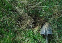 Таласта төрөлгөн ымыркайын тирүүлөй көмүп кеткен аял кармалды