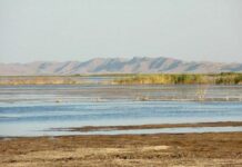 Өзбекстанда сууну пайдалануу 2021-жылы критикалык деңгээлге жетээри айтылууда