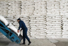 В Кыргызстане введен временный запрет на вывоз сахара 