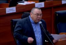 Балбак Түлөбаев: Педофилдерди асыш керек