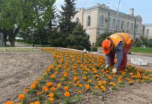 Чоң-Арык айылына жаңы гүлбакча курулат