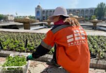 Красота! На площади Ала-Тоо высадили 190 тысяч цветов