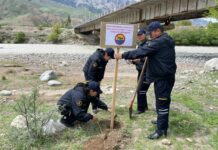 Нарын шаардык ички иштер бөлүмү сууга чөгүү кырсыктарынын алдын алууда