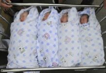 Кыргызстанда төрт эм төрөлдү, – сүрөт