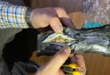 155 млн 545 миң сомдук баңгизат алынып, эл аралык баңги каналынын ишмердүүлүгүнө бөгөт коюлду