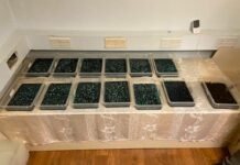 Силовики Кыргызстана и Казахстана ликвидировали крупнейший наркоканал. ВИДЕО