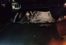 Жолдогу жарыктандыруучу жарыктардын күйбөгөндүгүнүн себебинен жөө жүргүнчү каза болду