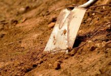 Жительница Таласа заживо закопала в лесу своего новорожденного ребенка